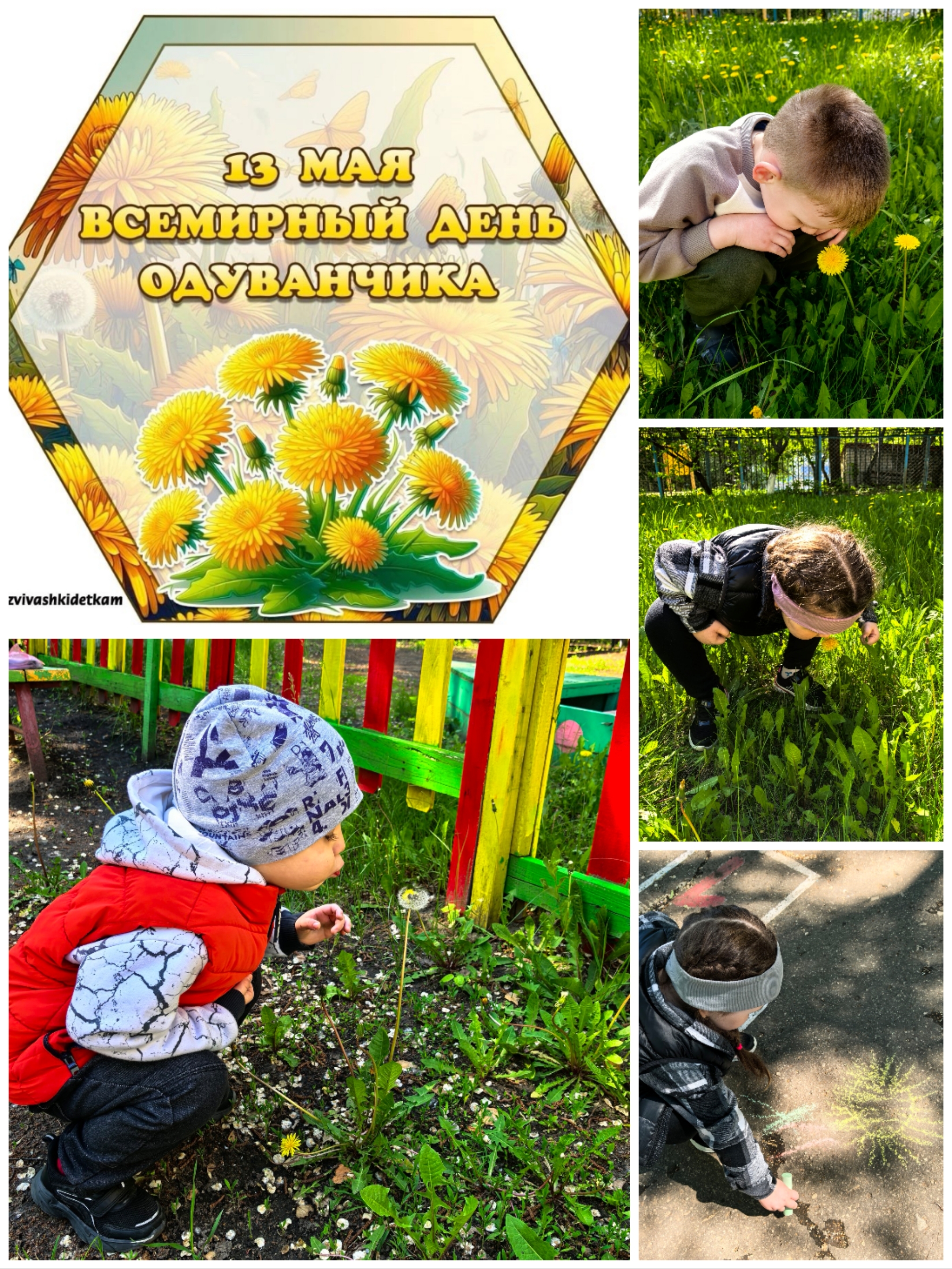 День одуванчика.