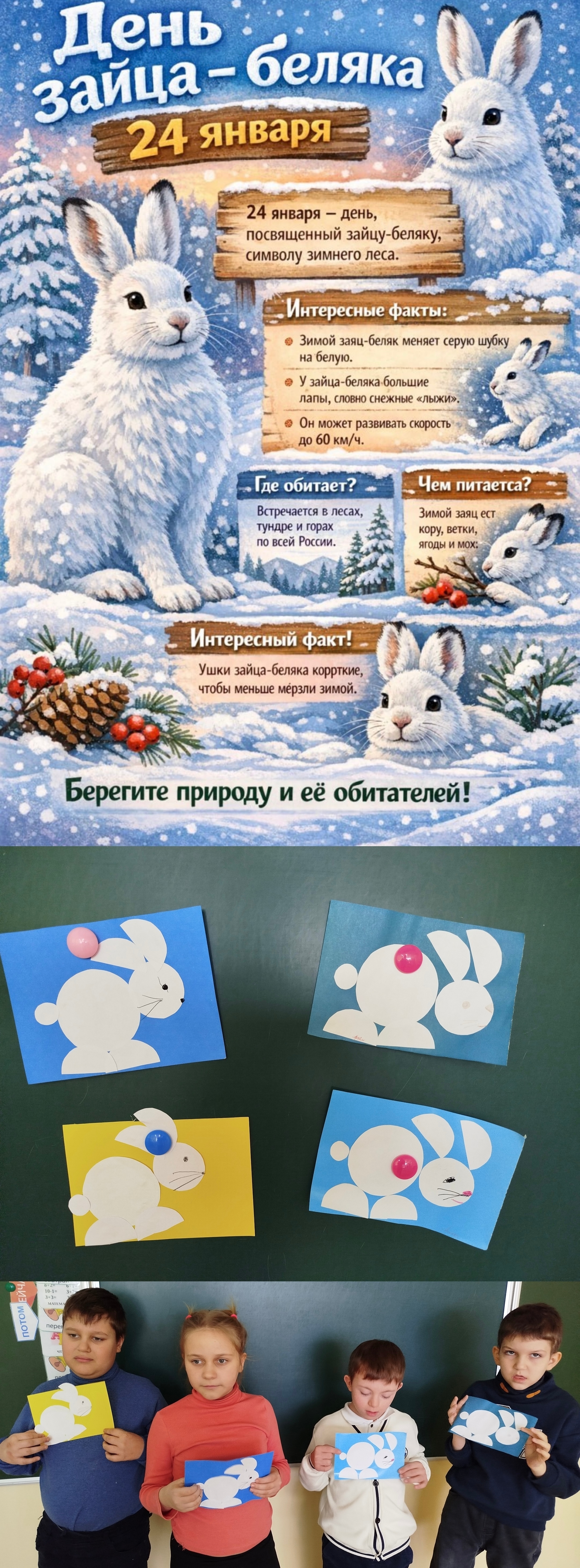 День зайца-беляка День зайца-беляка.