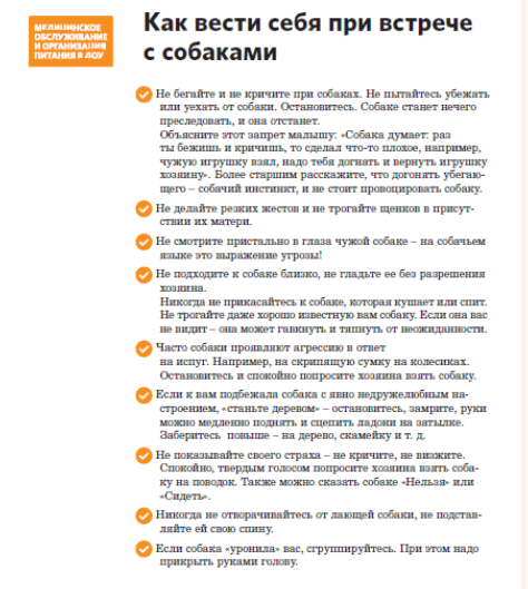 Как вести себя при встречи с собаками.