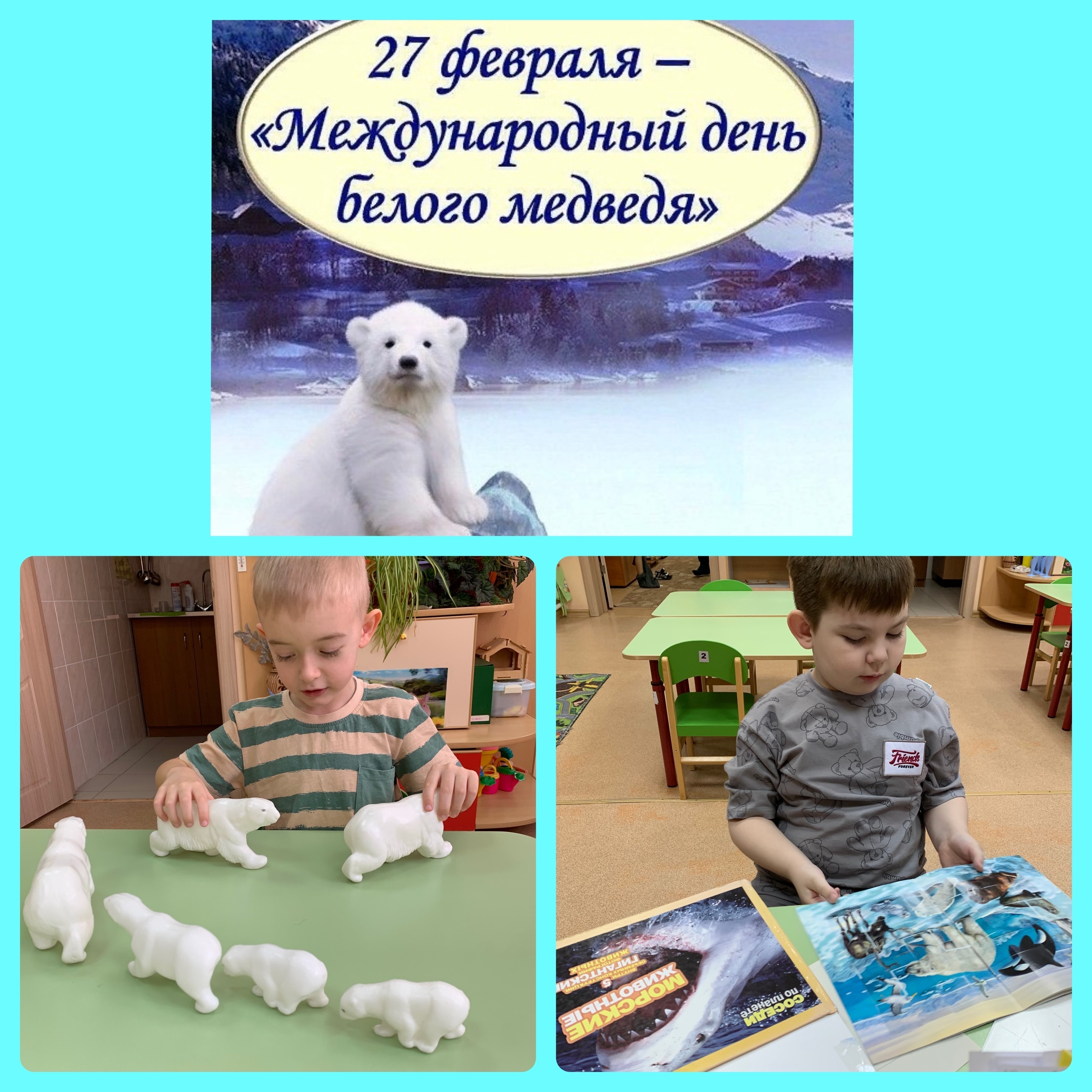 День белого медведя День белого медведя.