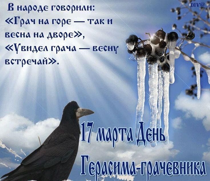 День прилета грачей День прилета грачей.