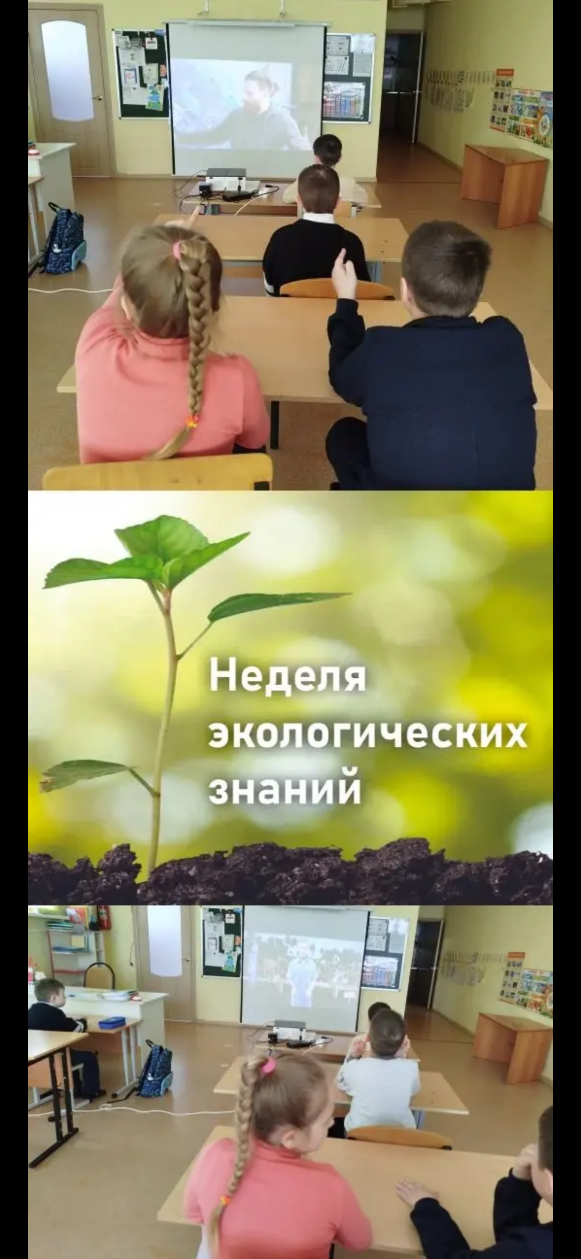Неделя экологических знаний Неделя экологических знаний.