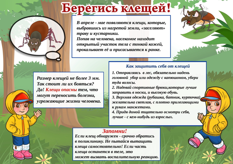 Единый день безопасности "Берегись клещей!".