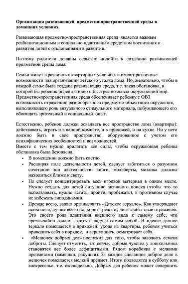 Организация развивающей предметно-пространственной среды в домашних условиях.